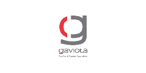 gaviota